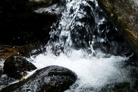 Water splash from a small stream in the forest, pure water