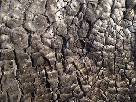 burnt wood textureの写真素材