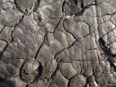 burnt wood textureの写真素材