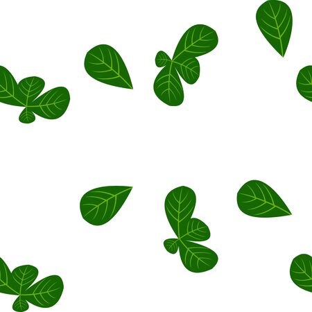 basil leaves seamless pattern, clean flat design design izolated on white backgroundのイラスト素材
