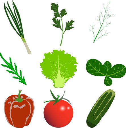 flat vegetables set designs, onion, parsley, tomato, cucumber, salad, dill leaf collectionのイラスト素材