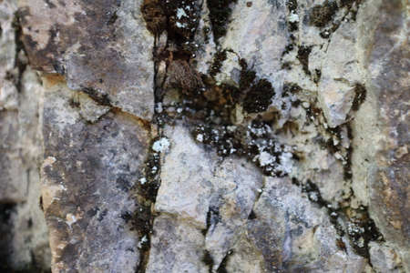 Stone texture or background, nature , shot from mountains rocksの写真素材