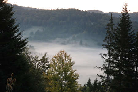 Morning fog in the Carpathians mountains, landscape, Red Lake area, Romaniaの写真素材
