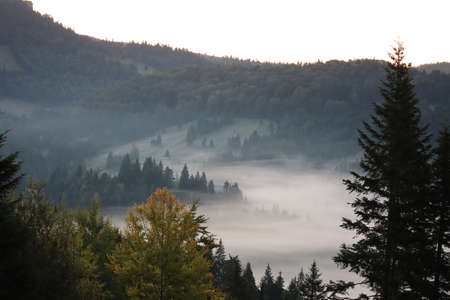 Morning fog in the Carpathians mountains, landscape, Red Lake area, Romaniaの写真素材