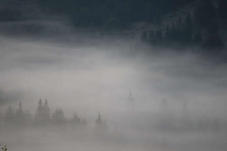 Morning fog in the Carpathians mountains, landscape, Red Lake area, Romaniaの写真素材