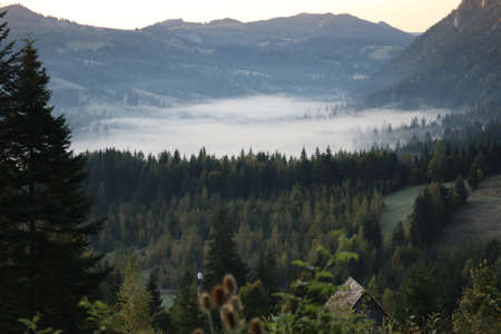 Morning fog in the Carpathians mountains, landscape, Red Lake area, Romaniaの写真素材