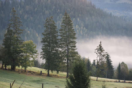 Morning fog in the Carpathians mountains, landscape, Red Lake area, Romaniaの写真素材