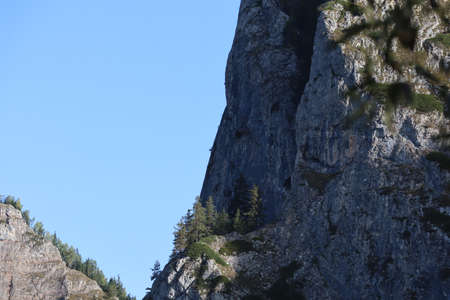 Carpathian Montain rock in Romania , Bicaz Chei, Pine forestの写真素材