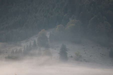 Morning fog in the Carpathians mountains, landscape, Red Lake area, Romaniaの写真素材
