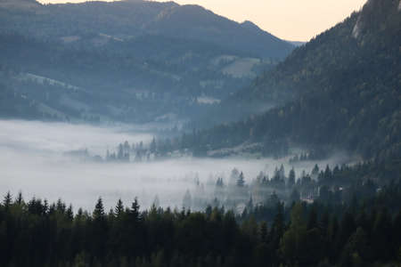 Morning fog in the Carpathians mountains, landscape, Red Lake area, Romaniaの写真素材
