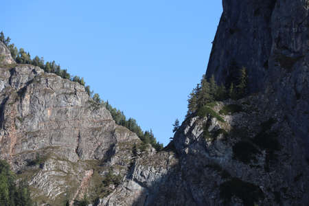 Carpathian Montain rock in Romania , Bicaz Chei, Pine forestの写真素材