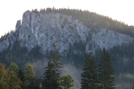 Carpathian Montain rock in Romania , Bicaz Chei, Pine forestの写真素材