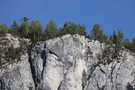 Carpathian Montain rock in Romania , Bicaz Chei, Pine forestの写真素材