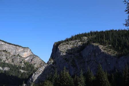 Carpathian Montain rock in Romania , Bicaz Chei, Pine forestの写真素材