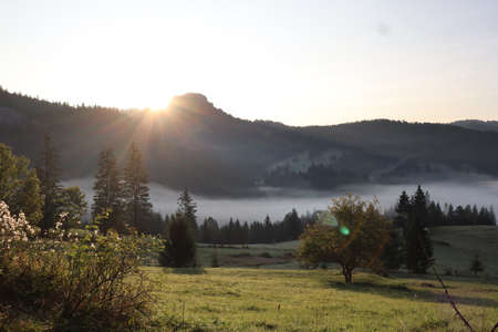 Morning fog in the Carpathians mountains, landscape, Red Lake area, Romaniaの写真素材