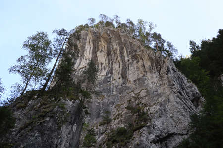 Carpathian Montain rock in Romania , Bicaz Chei, Pine forestの写真素材