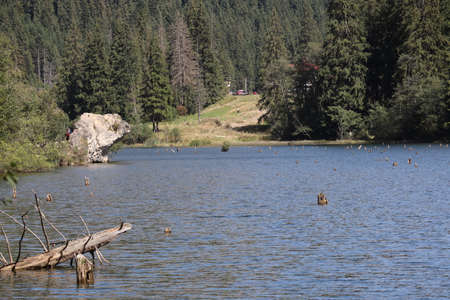 Red Lake Landscape, Carpathians Montains, Romania, Bicaz Areaの写真素材