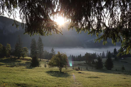 Morning fog in the Carpathians mountains, landscape, Red Lake area, Romaniaの写真素材
