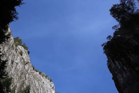 Carpathian Montain rock in Romania , Bicaz Chei, Pine forestの写真素材