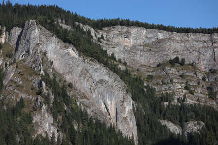 Carpathian Montain rock in Romania , Bicaz Chei, Pine forestの写真素材