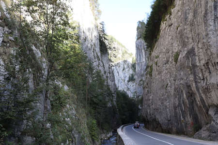 Carpathian Montain rock in Romania , Bicaz Chei, Pine forestの写真素材