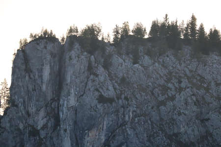Carpathian Montain rock in Romania , Bicaz Chei, Pine forestの写真素材