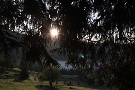Morning fog in the Carpathians mountains, landscape, Red Lake area, Romaniaの写真素材