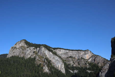 Carpathian Montain rock in Romania , Bicaz Chei, Pine forestの写真素材