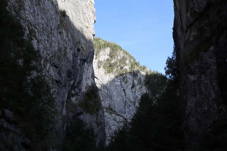 Carpathian Montain rock in Romania , Bicaz Chei, Pine forestの写真素材