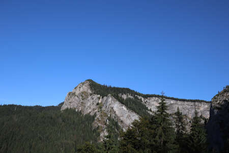 Carpathian Montain rock in Romania , Bicaz Chei, Pine forestの写真素材