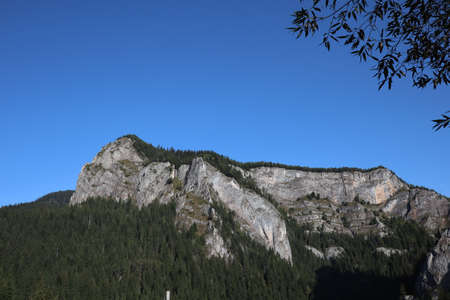 Carpathian Montain rock in Romania , Bicaz Chei, Pine forestの写真素材