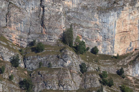 Carpathian Montain rock in Romania , Bicaz Chei, Pine forestの写真素材