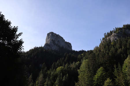 Carpathian Montain rock in Romania , Bicaz Chei, Pine forestの写真素材
