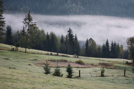 Morning fog in the Carpathians mountains, landscape, Red Lake area, Romaniaの写真素材