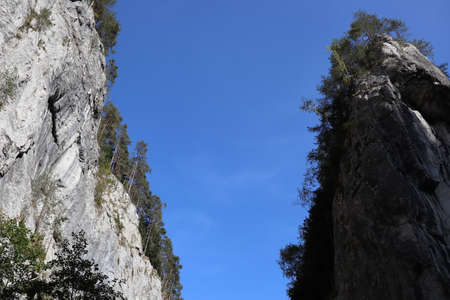 Carpathian Montain rock in Romania , Bicaz Chei, Pine forestの写真素材