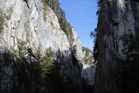 Carpathian Montain rock in Romania , Bicaz Chei, Pine forestの写真素材