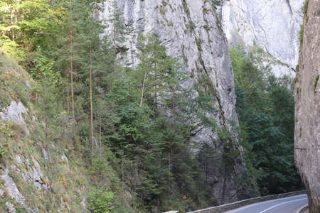 Carpathian Montain rock in Romania , Bicaz Chei, Pine forestの写真素材