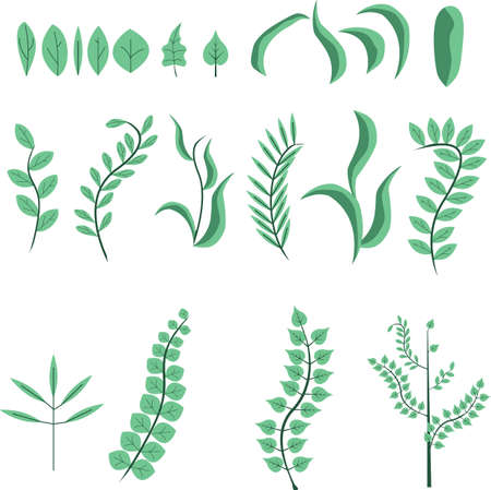 Set of decorative plants and leafs , flat design , green color collectionのイラスト素材