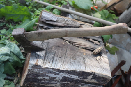 Ax and firewood in the garden on a sunny summer day.の写真素材