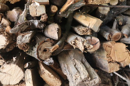 Pile of chopped firewood prepared for winter, closeup of photoの写真素材