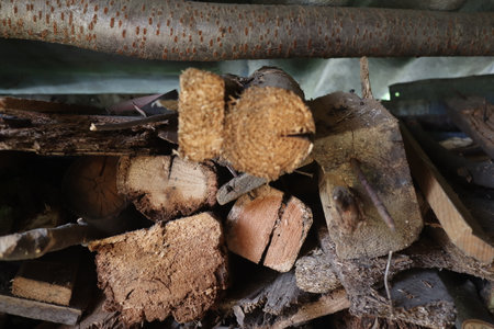 Firewood stacked in a woodpile, closeup of photoの写真素材