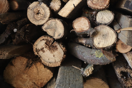 Pile of firewood for the winter, closeup of photoの写真素材