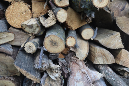 Pile of chopped firewood prepared for winter, closeup of photoの写真素材