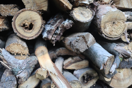 Pile of firewood, close-up of chopped firewoodの写真素材