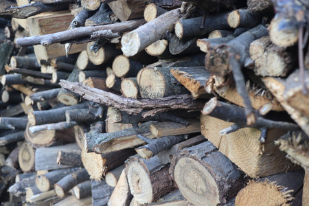 Pile of firewood in a forest, closeup of photoの写真素材