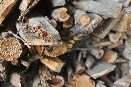Firewood in the forest, close up of chopped firewood.の写真素材