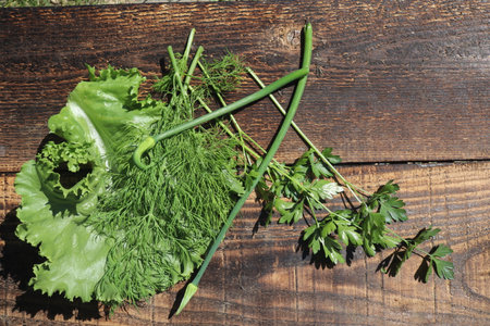 Bunch of fresh dill, parsley and lettuce on wooden backgroundの写真素材