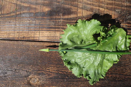 Fresh green lettuce on wooden background, top view. Vegetarian foodの写真素材