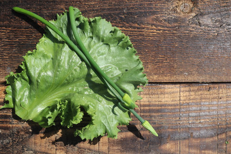 Fresh green lettuce leaves on a wooden background. Top view, copy spaceの写真素材