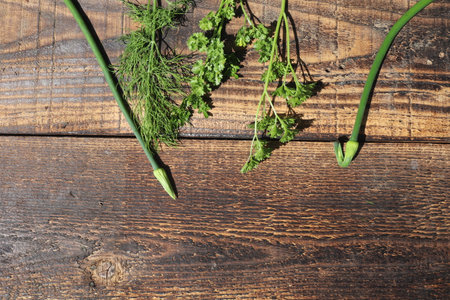 Bunch of fresh parsley and dill on a wooden background